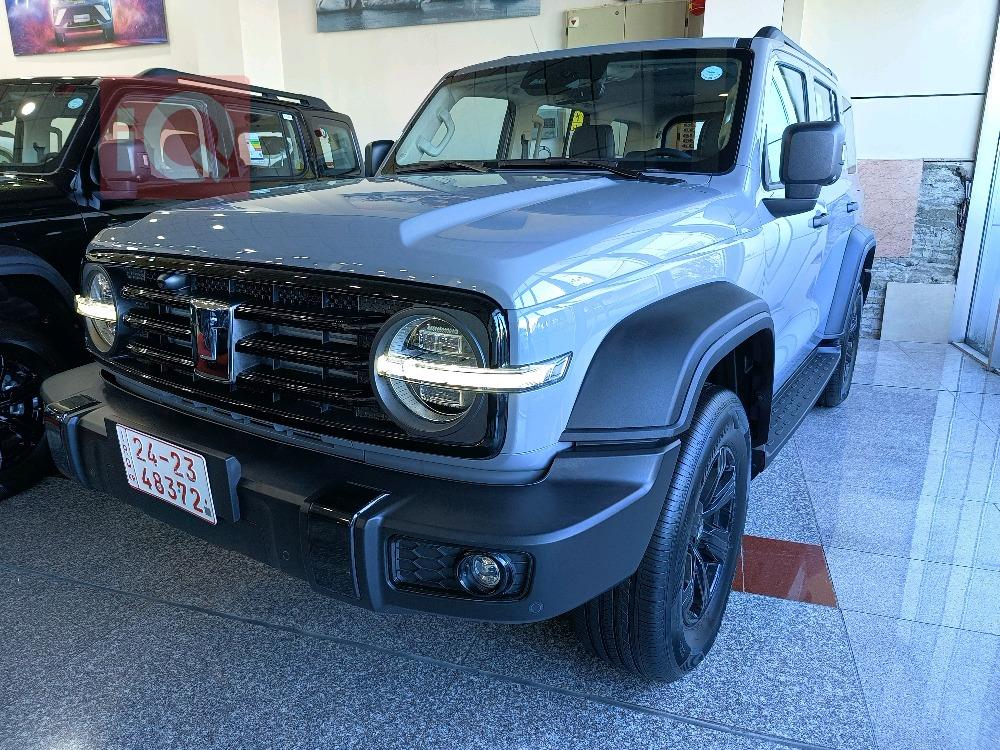 Great Wall 300